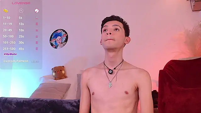 VicenteFerrer webcam