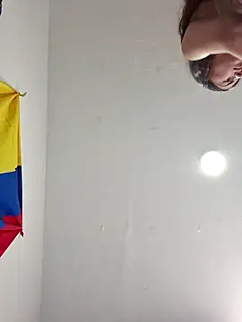 IrisBound webcam