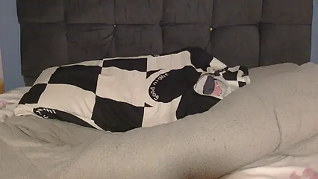 Dic_star webcam