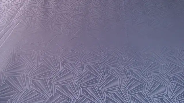 Freyja_eter webcam