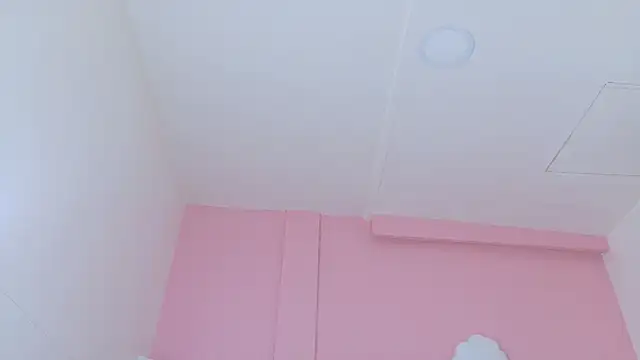 SeleneGibson__ webcam