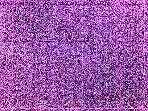 elturcudito webcam