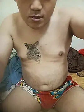 Atins930588 webcam