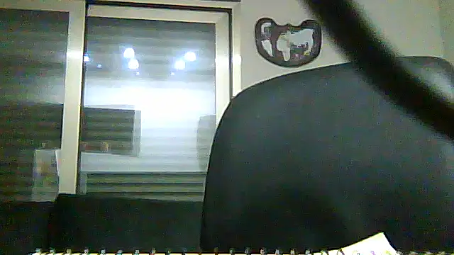 SirFrankonde webcam