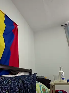 IrisBound webcam