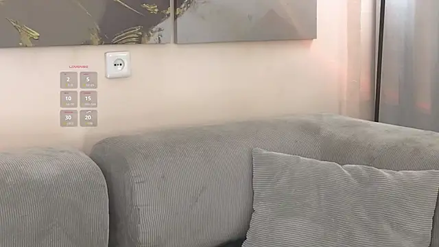 ElyaSoft webcam