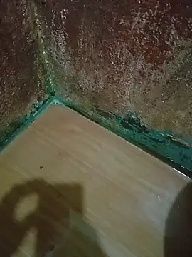 tsbrownmorena69 webcam