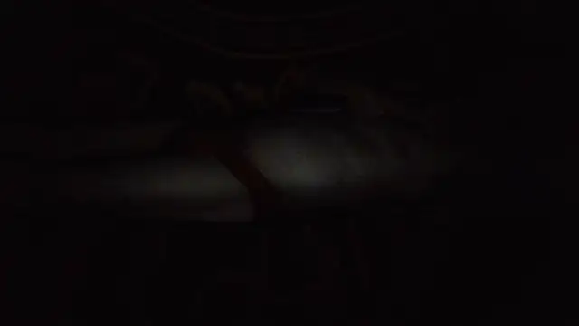 cumloverboyxx69 webcam