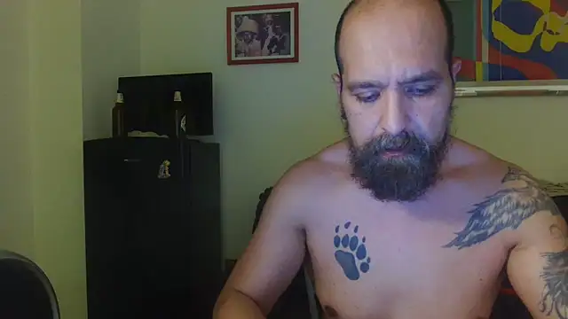 AMIRDIB2025 live cam on StripChat