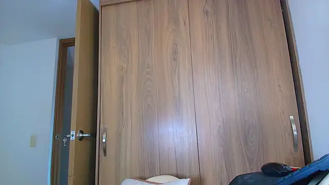 SARA_TS_FOX webcam