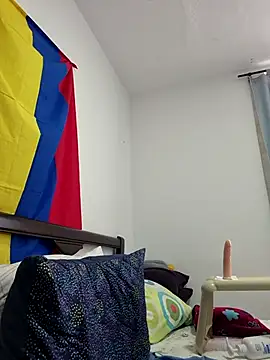 IrisBound webcam