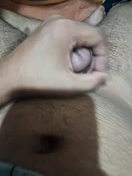 UnhopedDear webcam