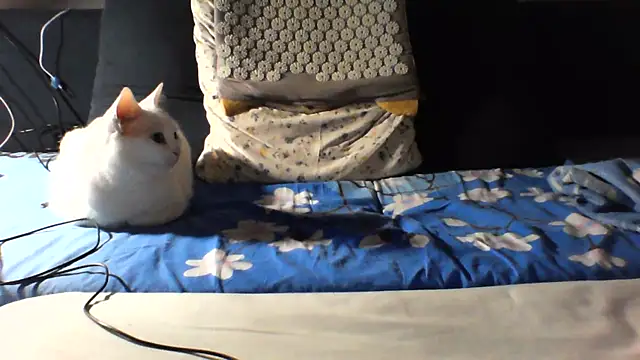 KaelNox webcam