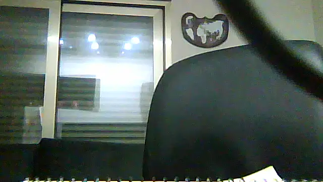SirFrankonde webcam