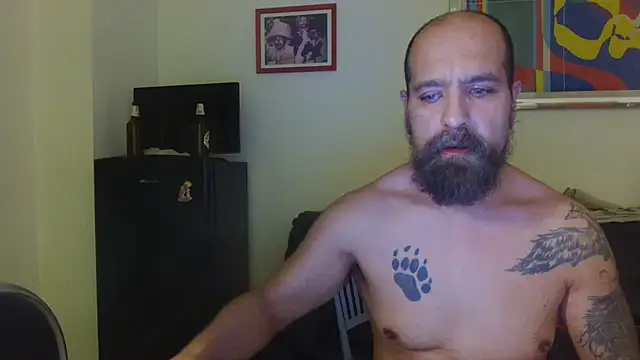 AMIRDIB2025 webcam