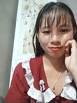 Wily-06 webcam