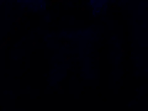 sexxypatty webcam