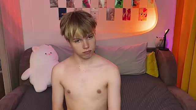 metarion webcam