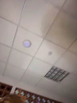 IAmNobodyXXX webcam
