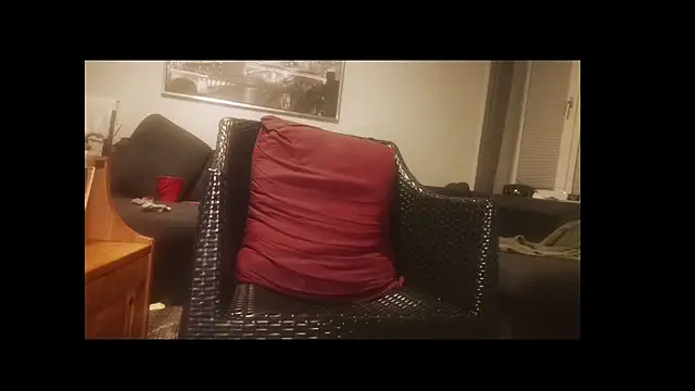 Tyyson03 webcam