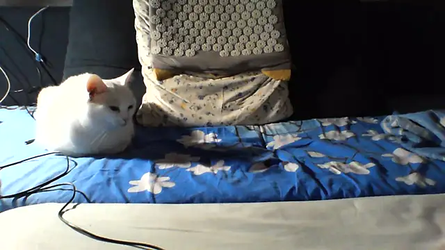 KaelNox webcam