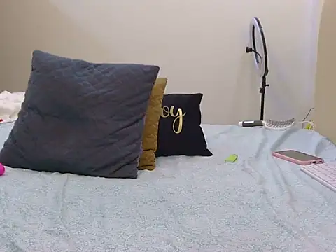 Sshcooks webcam