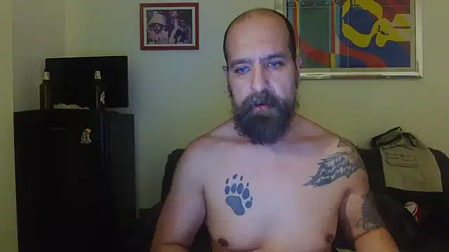 AMIRDIB2025 webcam