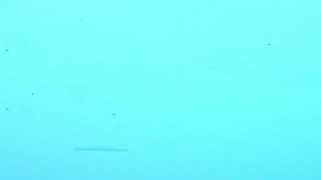 LiamDeep webcam