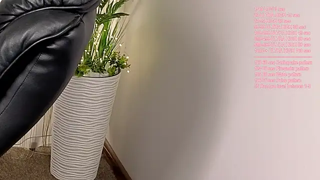 vikkusya webcam