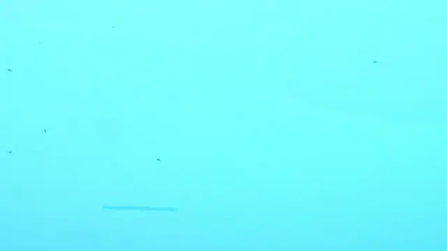 LiamDeep webcam