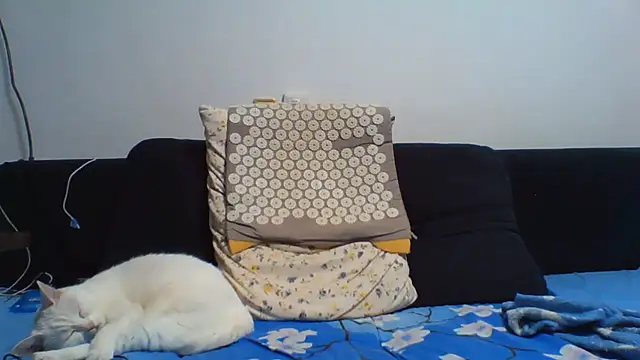 KaelNox webcam