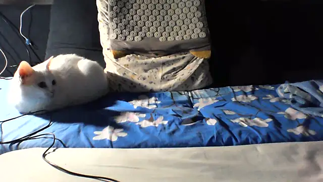 KaelNox webcam