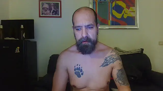 AMIRDIB2025 webcam
