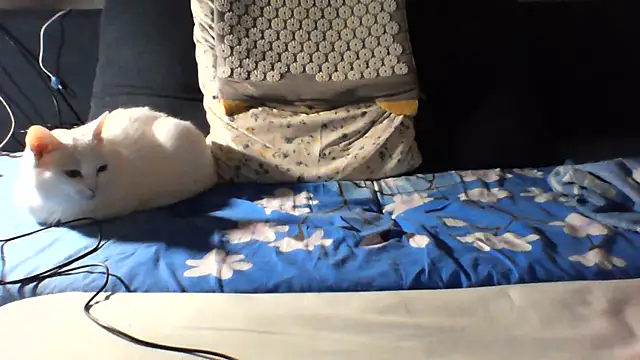 KaelNox webcam