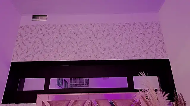 pixy_20 webcam