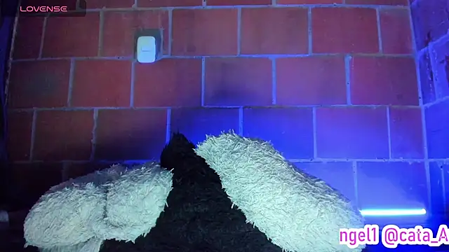 Cata-angel webcam
