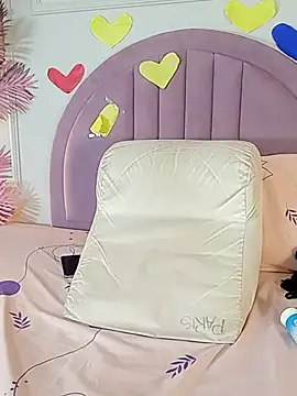 Nalapalmer webcam