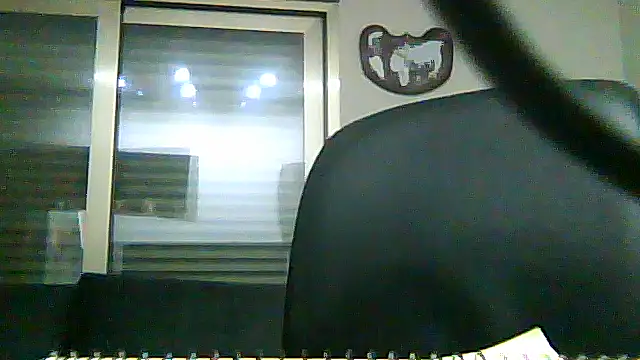 SirFrankonde webcam