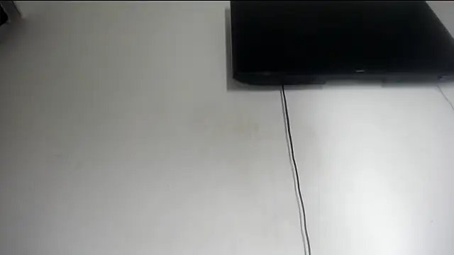 Fox_Loves