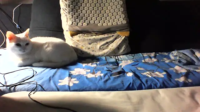 KaelNox webcam