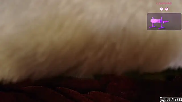 Julia-Ivy webcam