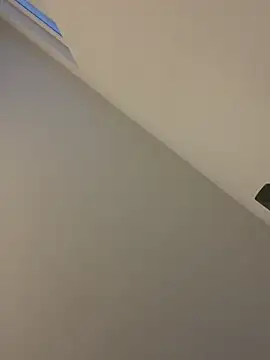 Cheatone webcam