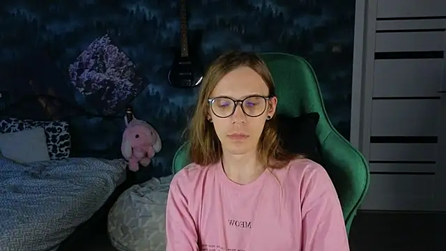 artass2 webcam