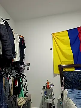 IrisBound webcam
