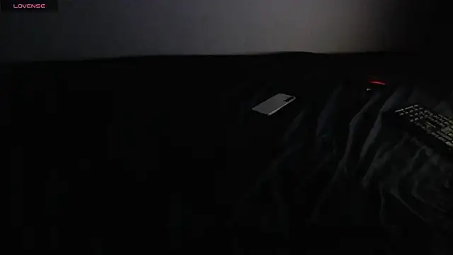 Lancelot_19 webcam