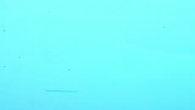 LiamDeep webcam