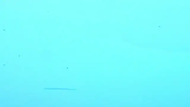 LiamDeep webcam