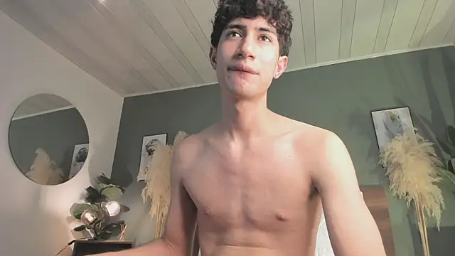 NovaaWheler webcam