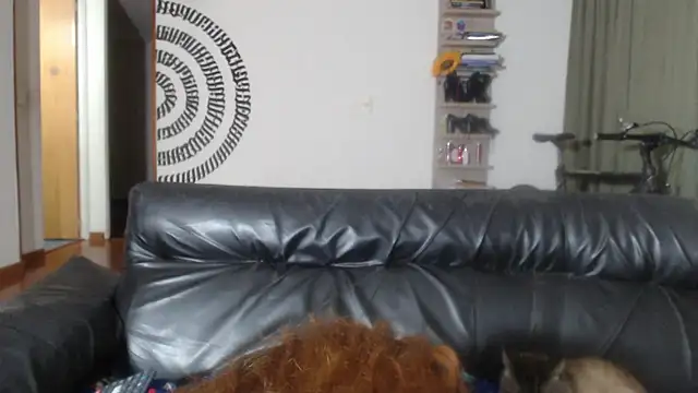 BeautyYoungblond live cam on StripChat