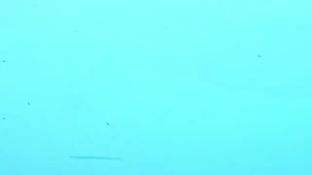 LiamDeep webcam